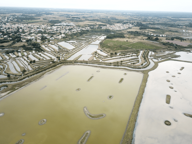 Réserve de Chanteloup